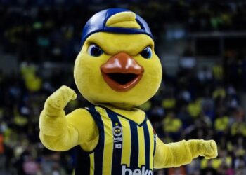 fenerbahçe beko