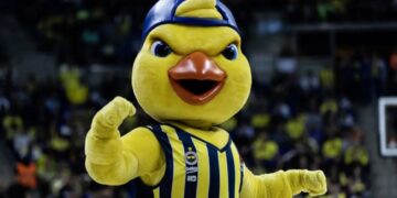 fenerbahçe beko