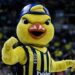 fenerbahçe beko