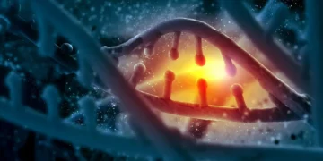 DNA