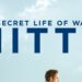 Walter Mitty