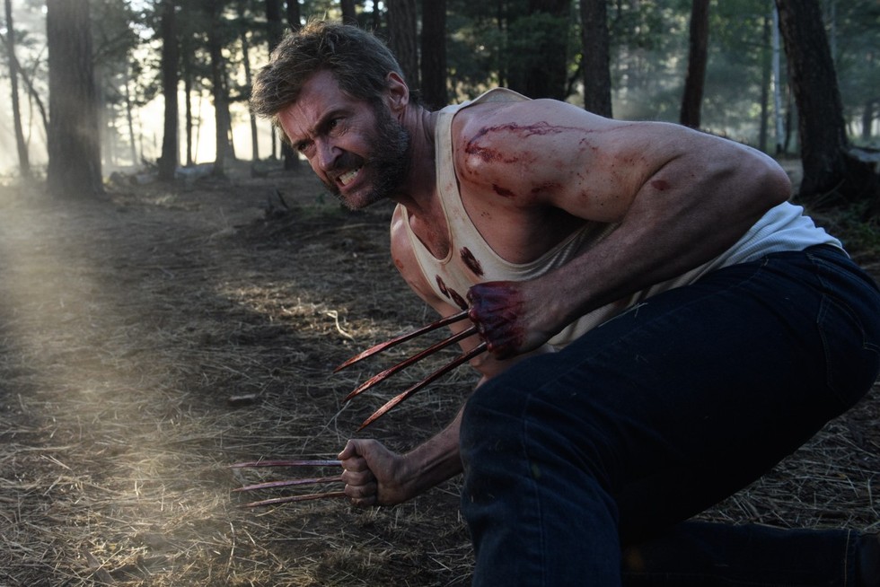 wolverine